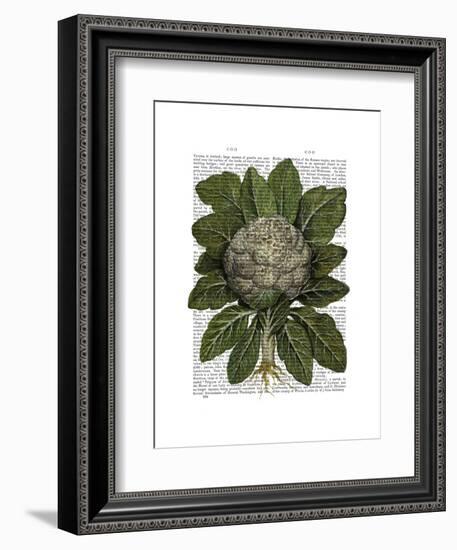 Cauliflower-Fab Funky-Framed Art Print