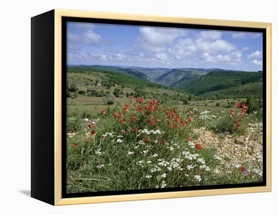 Causse Mejean, Gorges Du Tarn Behind, Lozere, Languedoc-Roussillon, France-David Hughes-Framed Premier Image Canvas