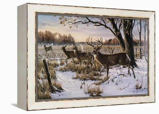 Cautious Crossing - Whitetails-Wilhelm Goebel-Framed Premier Image Canvas