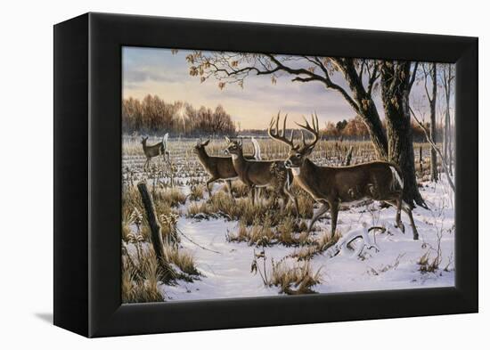 Cautious Crossing - Whitetails-Wilhelm Goebel-Framed Premier Image Canvas