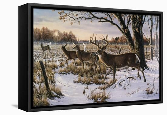 Cautious Crossing - Whitetails-Wilhelm Goebel-Framed Premier Image Canvas