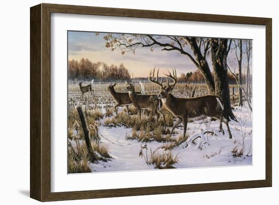 Cautious Crossing - Whitetails-Wilhelm Goebel-Framed Giclee Print