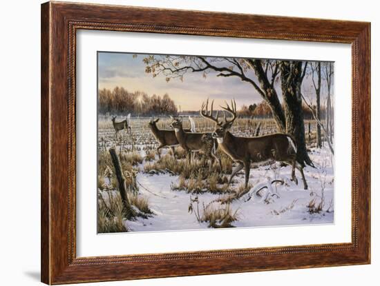 Cautious Crossing - Whitetails-Wilhelm Goebel-Framed Giclee Print