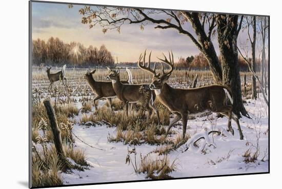 Cautious Crossing - Whitetails-Wilhelm Goebel-Mounted Giclee Print