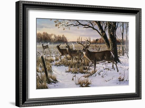 Cautious Crossing - Whitetails-Wilhelm Goebel-Framed Giclee Print