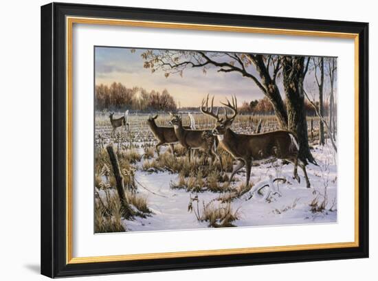 Cautious Crossing - Whitetails-Wilhelm Goebel-Framed Giclee Print