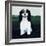 Cavalier King Charles, 1991-Maggie Rowe-Framed Giclee Print