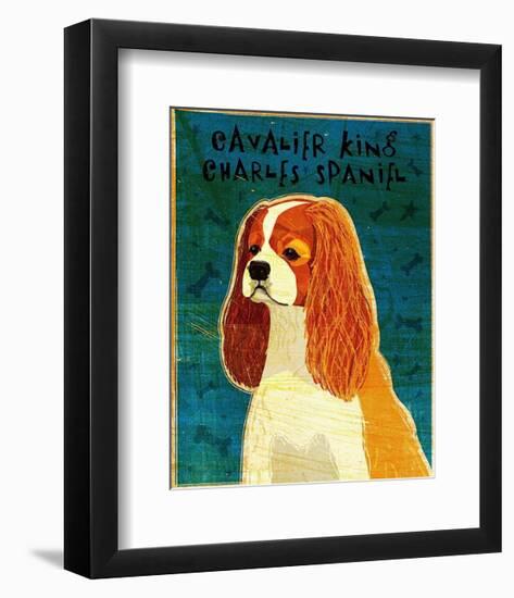 Cavalier King Charles (blenheim)-John Golden-Framed Art Print