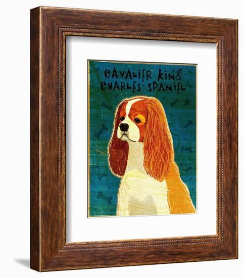 Cavalier King Charles (blenheim)-John Golden-Framed Art Print