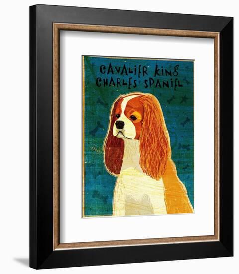 Cavalier King Charles (blenheim)-John Golden-Framed Art Print