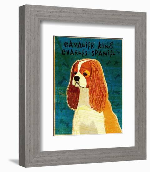 Cavalier King Charles (blenheim)-John Golden-Framed Art Print