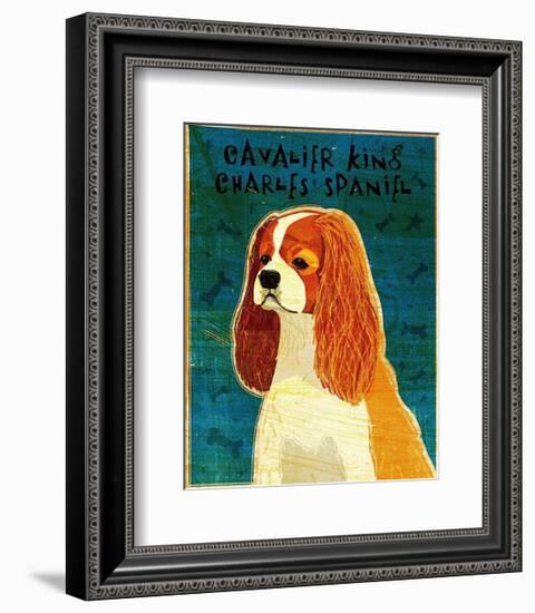 Cavalier King Charles (blenheim)-John Golden-Framed Art Print