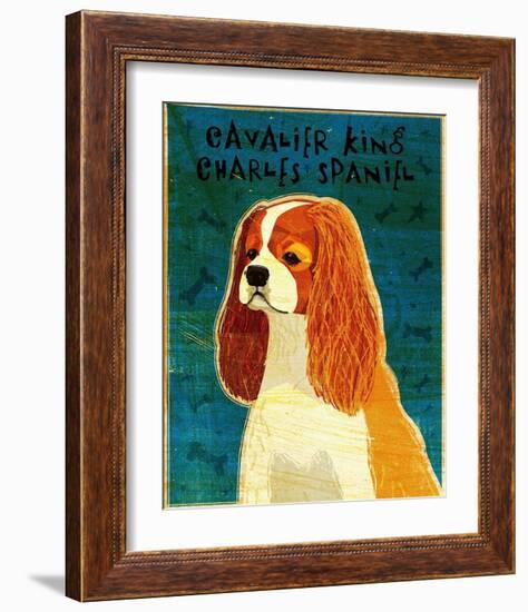 Cavalier King Charles (blenheim)-John Golden-Framed Art Print