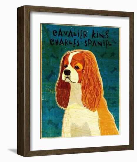 Cavalier King Charles (blenheim)-John Golden-Framed Art Print