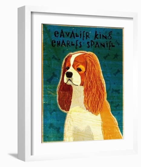 Cavalier King Charles (blenheim)-John Golden-Framed Art Print