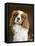 Cavalier King Charles Spaniel Dog-null-Framed Premier Image Canvas