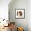 Cavalier King Charles Spaniel Dog-Lilun-Framed Photographic Print displayed on a wall