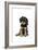 Cavalier King Charles Spaniel Puppy 6-7 Weeks Old-null-Framed Photographic Print