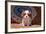 Cavalier King Charles Spaniel Puppy-Zandria Muench Beraldo-Framed Photographic Print