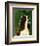 Cavalier King Charles (tri-color)-John Golden-Framed Art Print