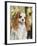 Cavalier King Charles-Solveiga-Framed Giclee Print