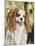 Cavalier King Charles-Solveiga-Mounted Giclee Print