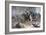 Cavalry Charge, German Riots in Leipzig, 1892-Henri Meyer-Framed Giclee Print