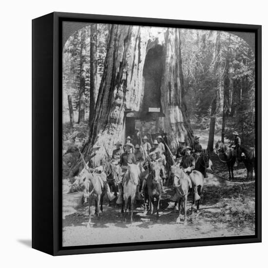 Cavalry Passing Through the Great Tree 'California, California, Usa-Underwood & Underwood-Framed Premier Image Canvas