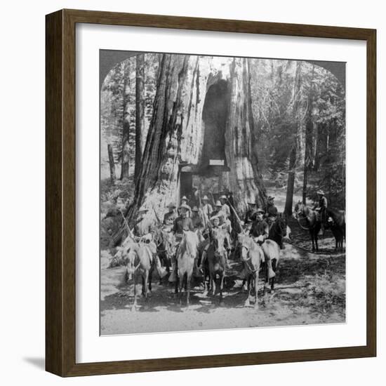 Cavalry Passing Through the Great Tree 'California, California, Usa-Underwood & Underwood-Framed Photographic Print