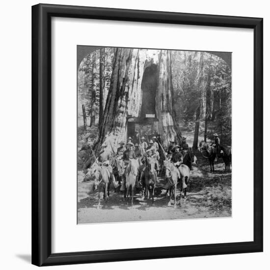 Cavalry Passing Through the Great Tree 'California, California, Usa-Underwood & Underwood-Framed Photographic Print