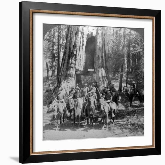 Cavalry Passing Through the Great Tree 'California, California, Usa-Underwood & Underwood-Framed Photographic Print