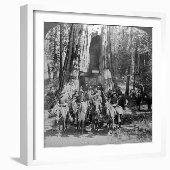 Cavalry Passing Through the Great Tree 'California, California, Usa-Underwood & Underwood-Framed Photographic Print