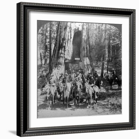 Cavalry Passing Through the Great Tree 'California, California, Usa-Underwood & Underwood-Framed Photographic Print