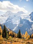 Glacier, Mounatins and Golden Larch, Britihs Columbia, Canada-Cavan Images-Photographic Print