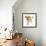 Cavapoo dog, Monty, 10 months, running.-Mark Taylor-Framed Photographic Print displayed on a wall