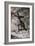 Cave Art, Algeria-null-Framed Giclee Print