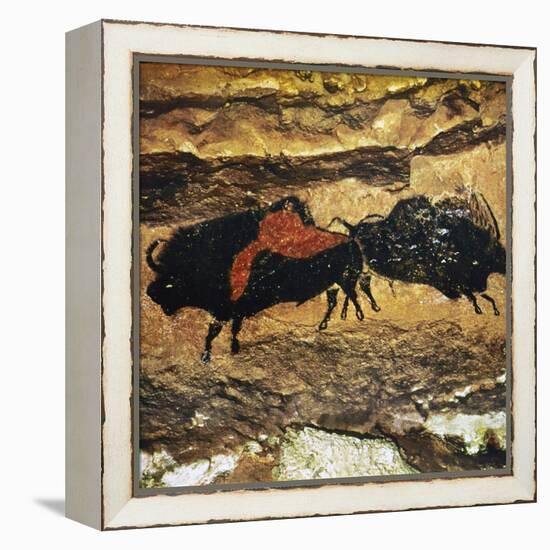 Cave Art: Bison-null-Framed Premier Image Canvas