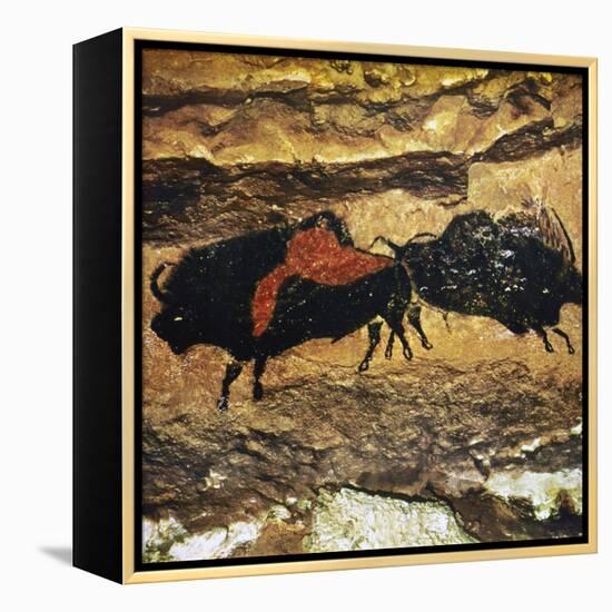 Cave Art: Bison-null-Framed Premier Image Canvas