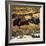 Cave Art: Bison-null-Framed Photographic Print