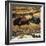 Cave Art: Bison-null-Framed Photographic Print