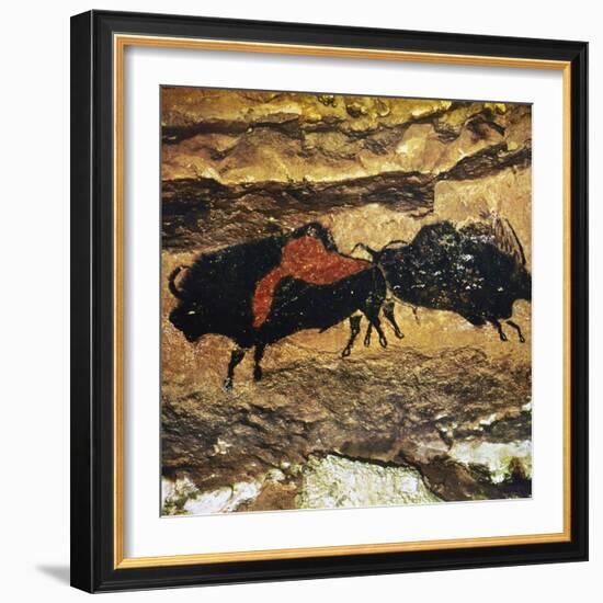 Cave Art: Bison-null-Framed Photographic Print