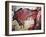 Cave Art-null-Framed Giclee Print