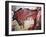 Cave Art-null-Framed Giclee Print