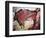 Cave Art-null-Framed Giclee Print