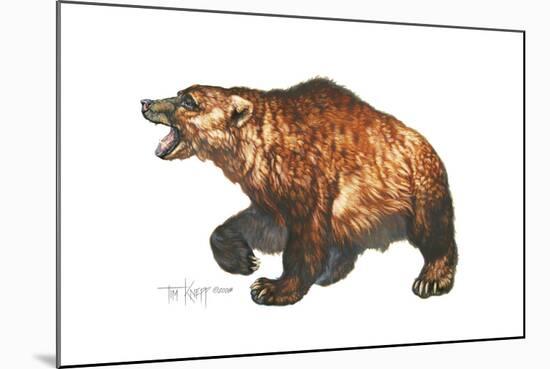 Cave Bear-Tim Knepp-Mounted Giclee Print