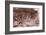 Cave Hand Paintings, Dated to around 550 BC. Cueva De Las Manos, Argentina, March 2010-Mark Taylor-Framed Photographic Print