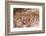 Cave of Hands in Patagonia, Argentina-Paul Souders-Framed Photographic Print