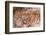 Cave of Hands in Patagonia, Argentina-Paul Souders-Framed Photographic Print