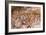 Cave of Hands in Patagonia, Argentina-Paul Souders-Framed Photographic Print