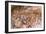 Cave of Hands in Patagonia, Argentina-Paul Souders-Framed Photographic Print